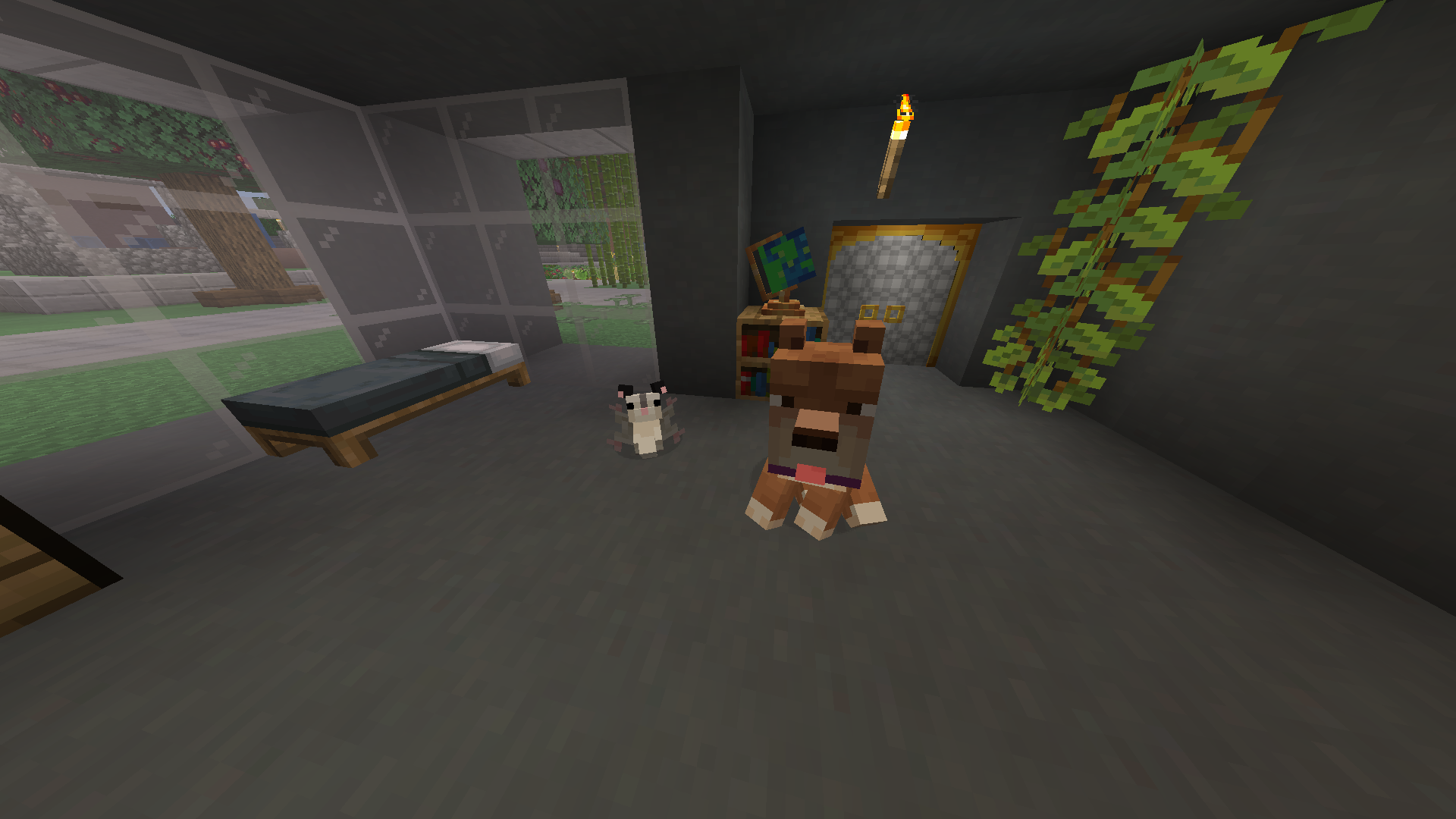 More pets