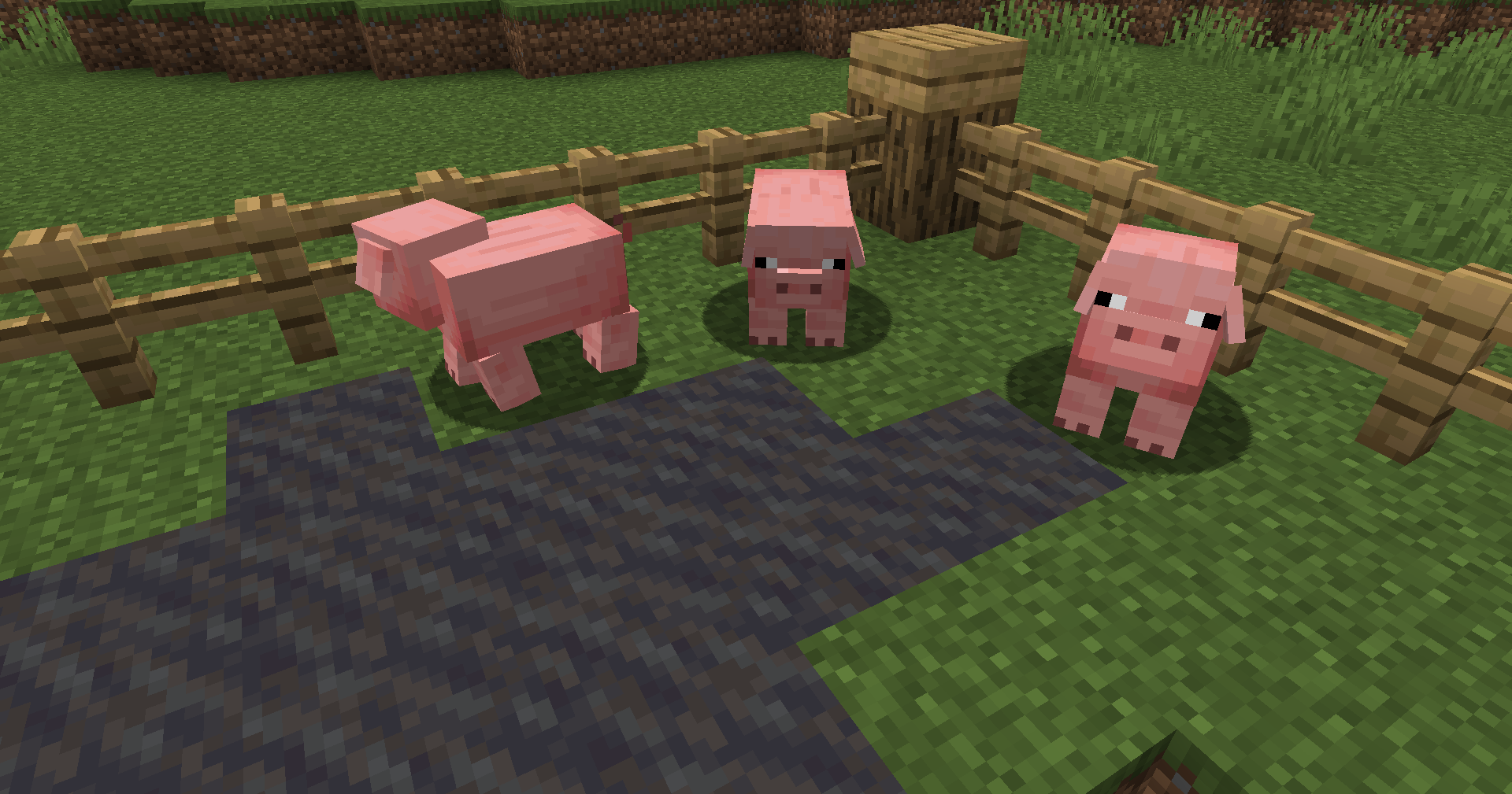 Tweaked Pigs