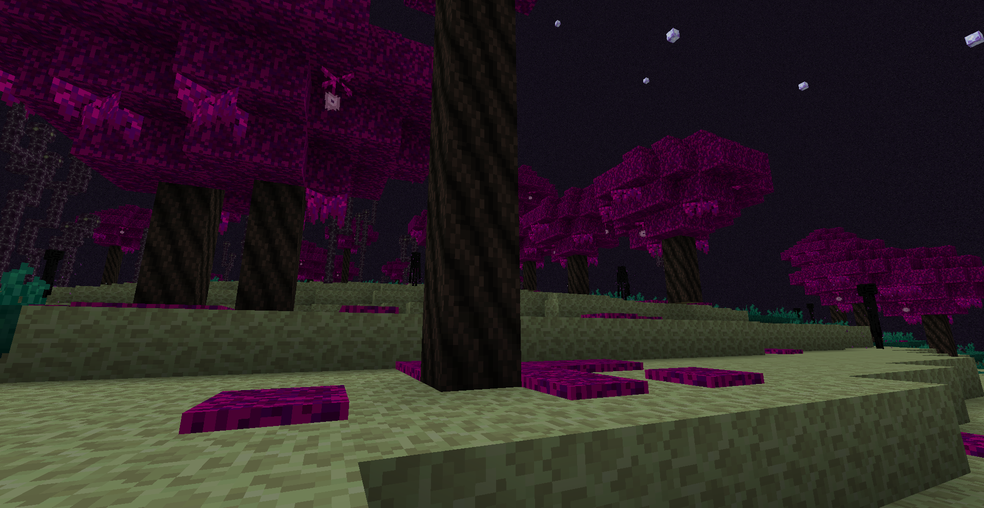 the screenshot