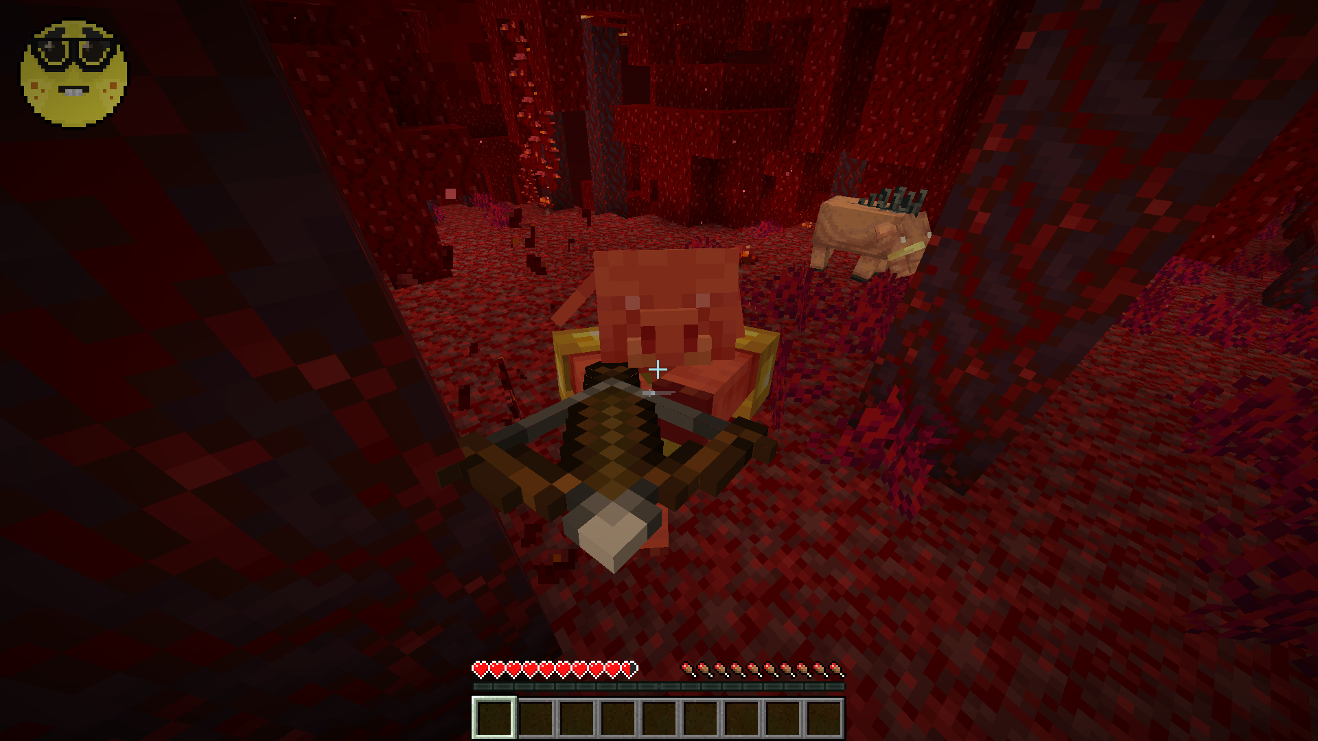 The Nether, you nerd