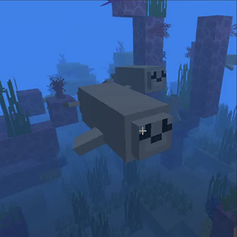 What it looks like in the water