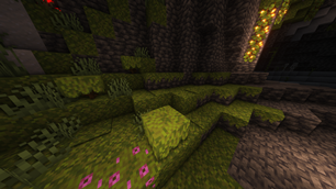 Enhanced moss - Sr_Paulo - Screenshots - Minecraft Resource Packs ...