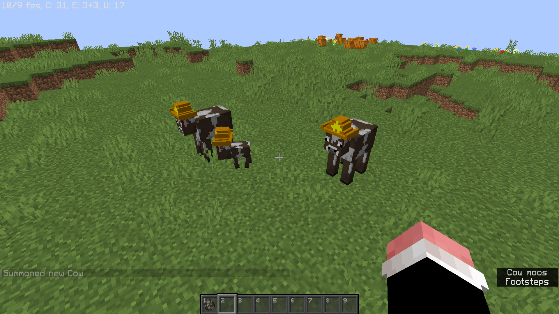 cows in a plains