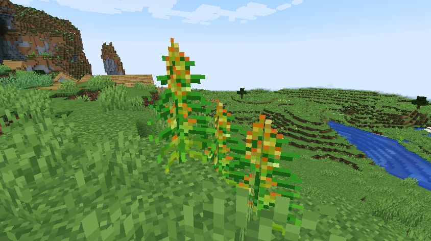 Herb Plants on Plains