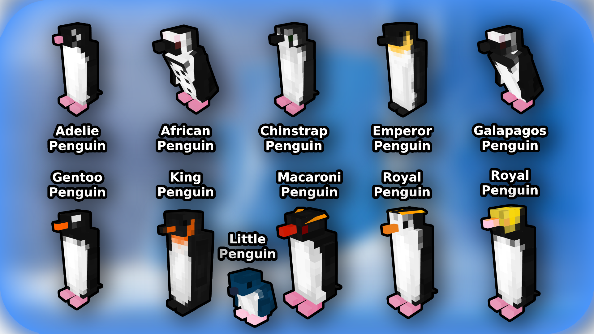 All of the Penguins