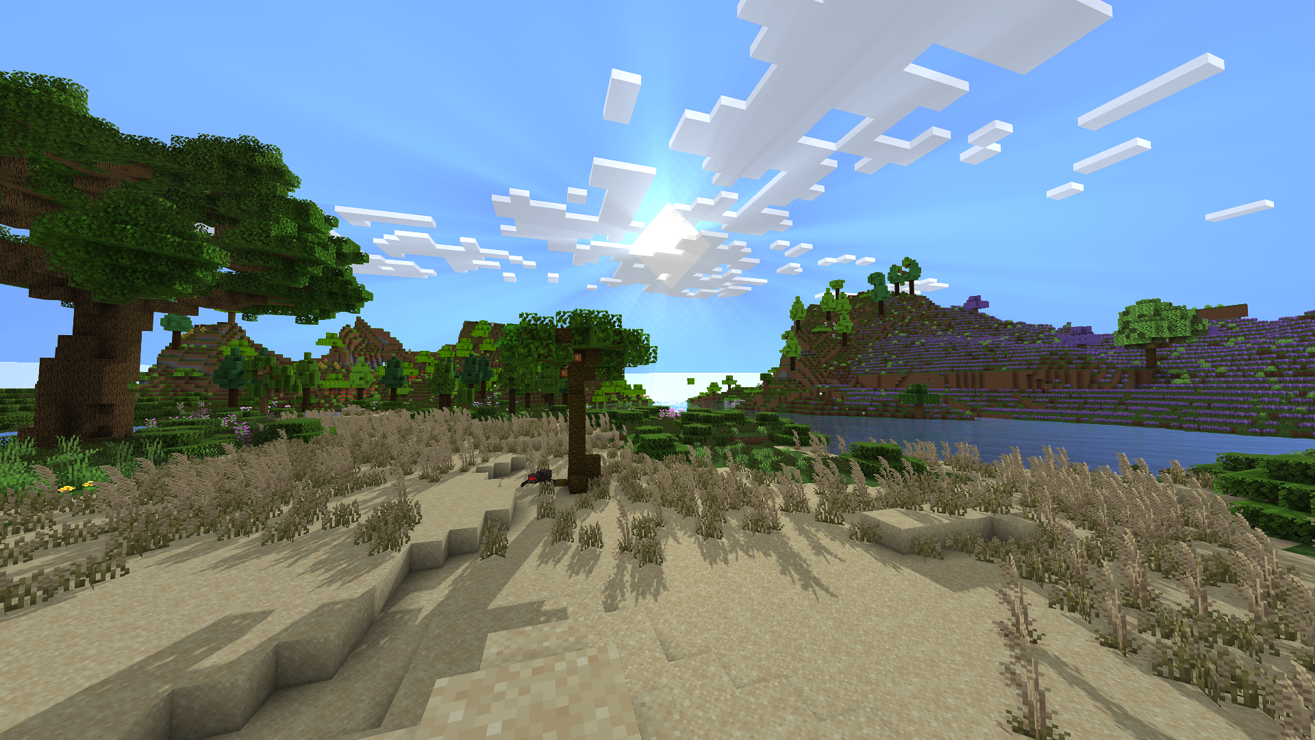 Built-In Shaders!