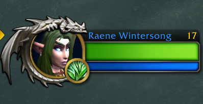 Cosmetic Portrait Option