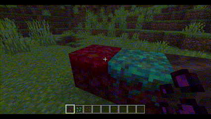 Right click the blocks while holding a seed