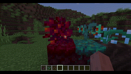 Right click the fruit bushes