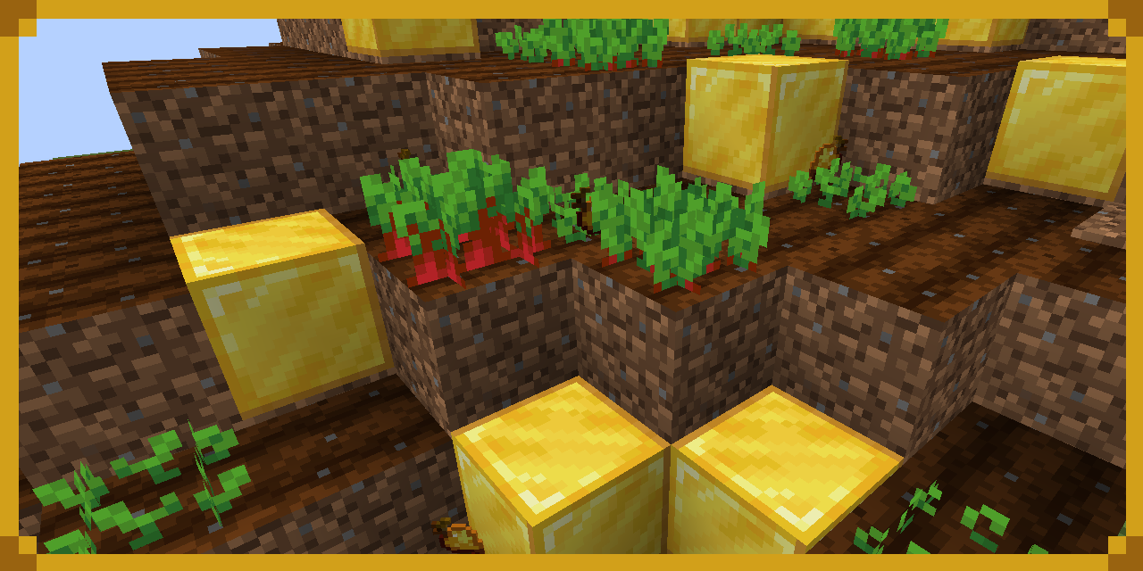 Golden Beetroots from the Crops