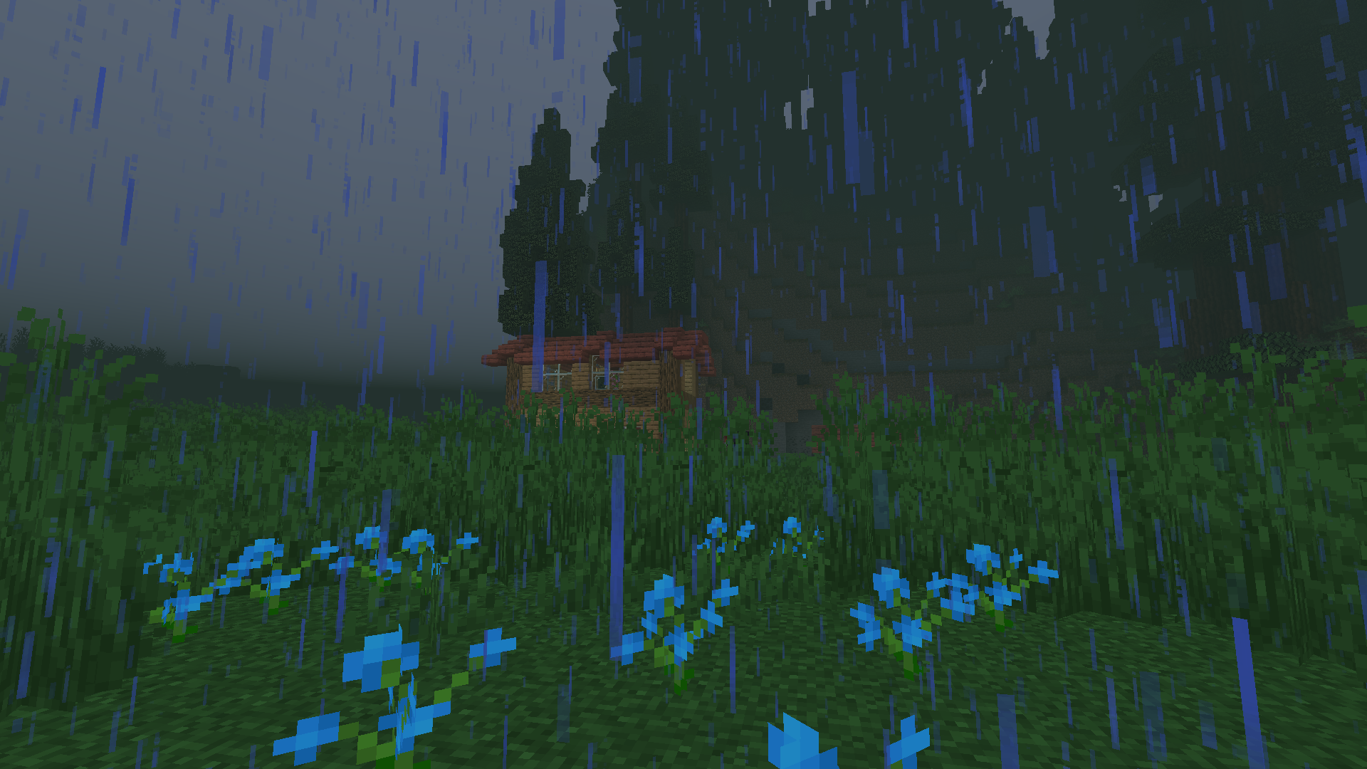 Rainy Day in the Swamp