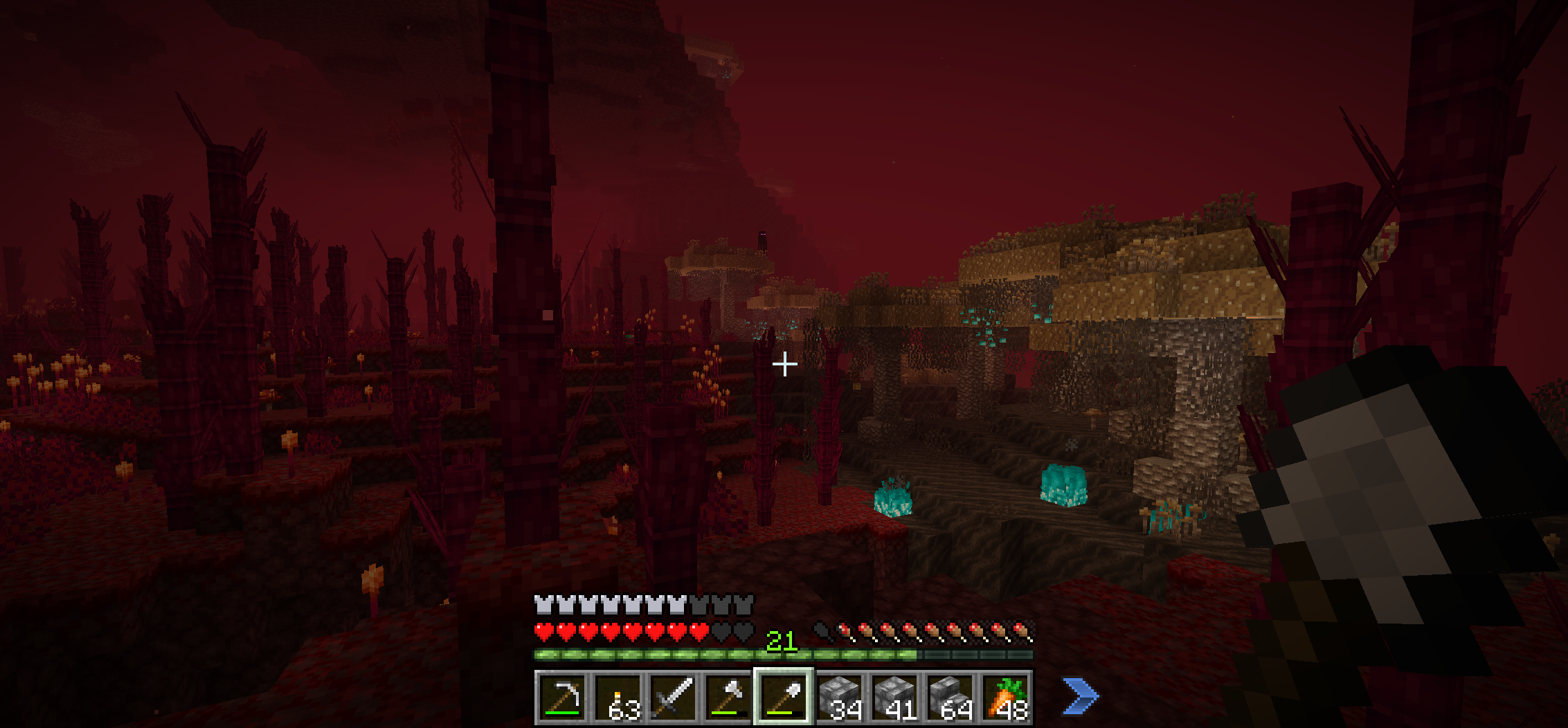 A few new biomes for the Nether. Keeping with the subdued tone of the rest of the landscape.