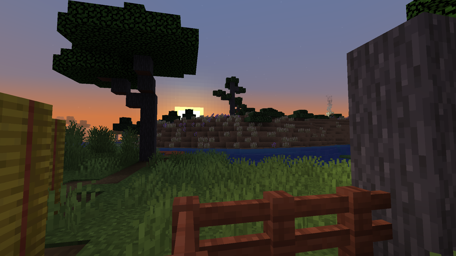 Do you spot the Tumbleweed?