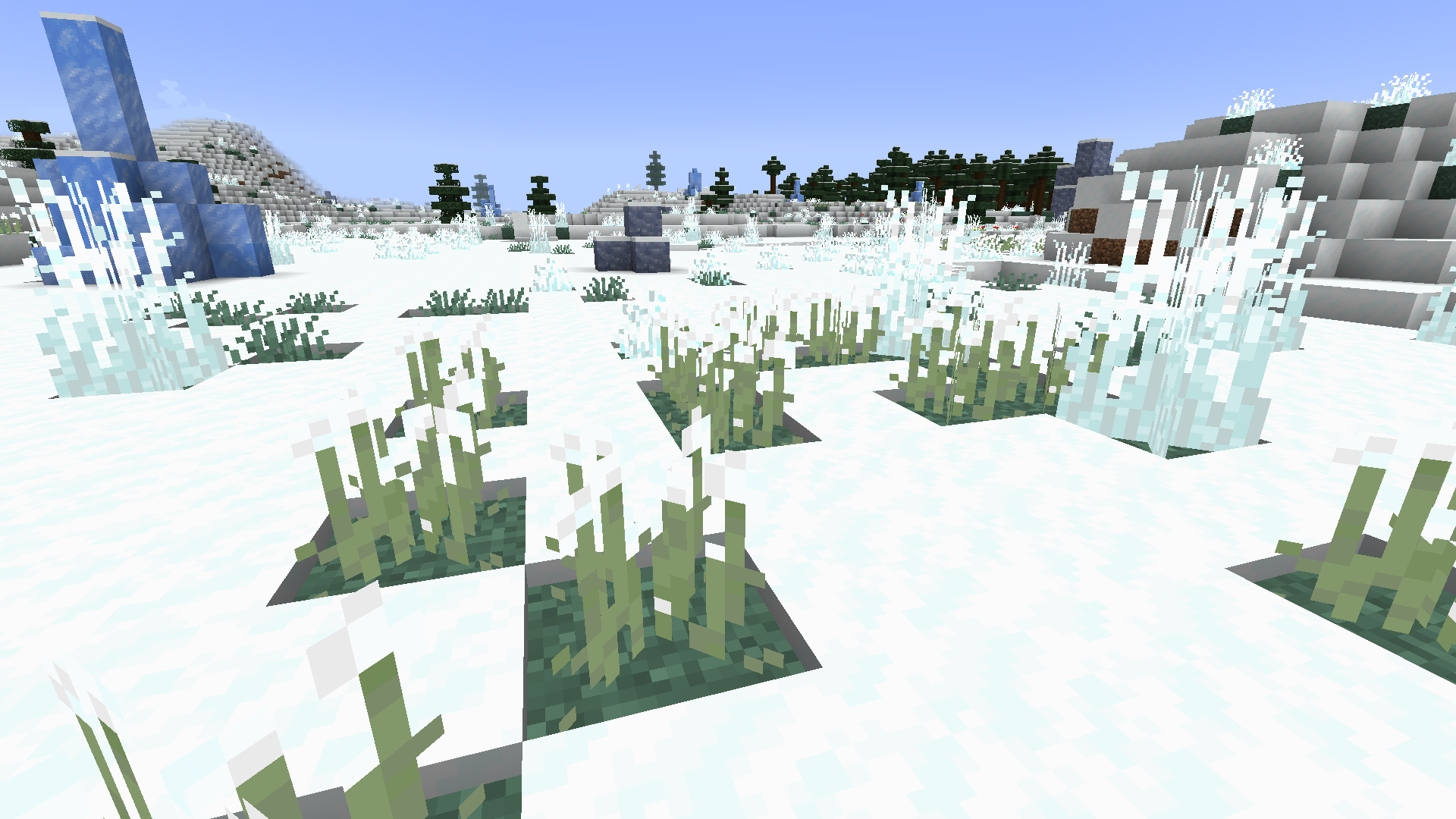 This is a new plant found specifically in the snowy plains biome called cotton! It can be harvested to get cotton balls.