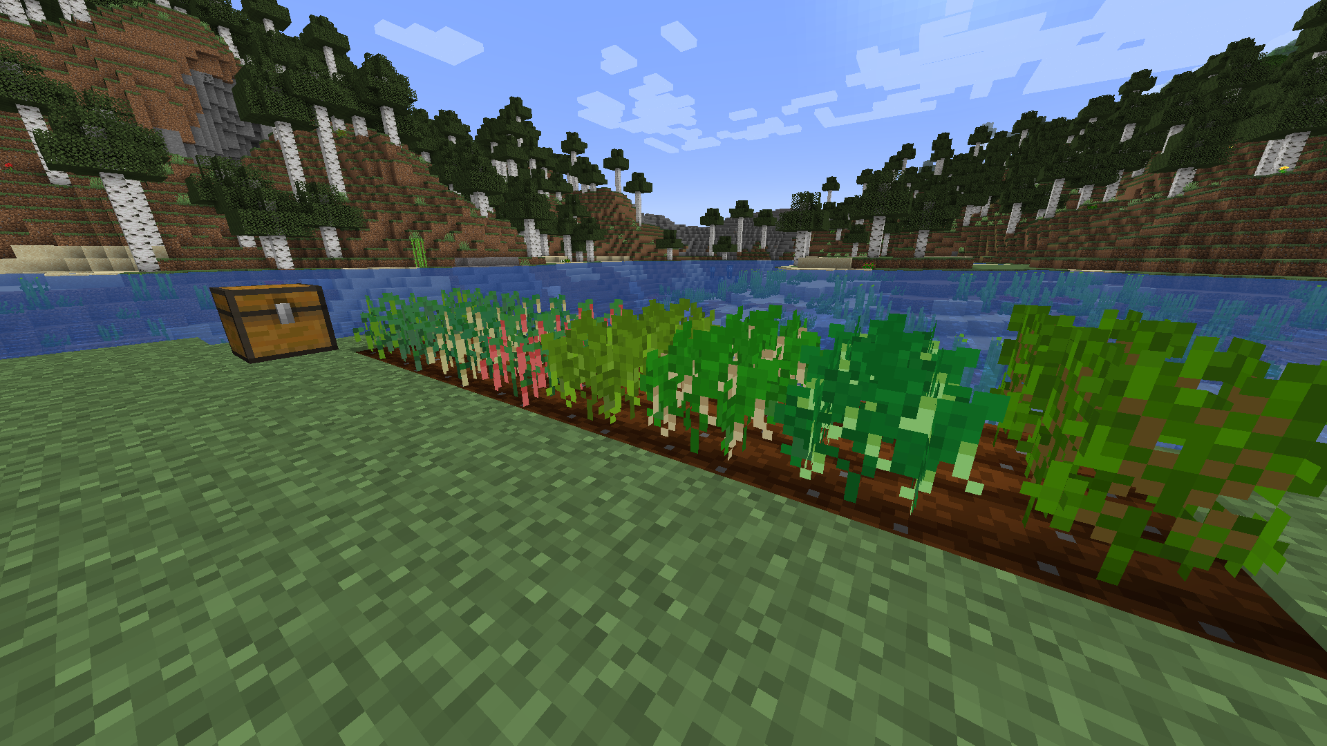 Bean Crops 2