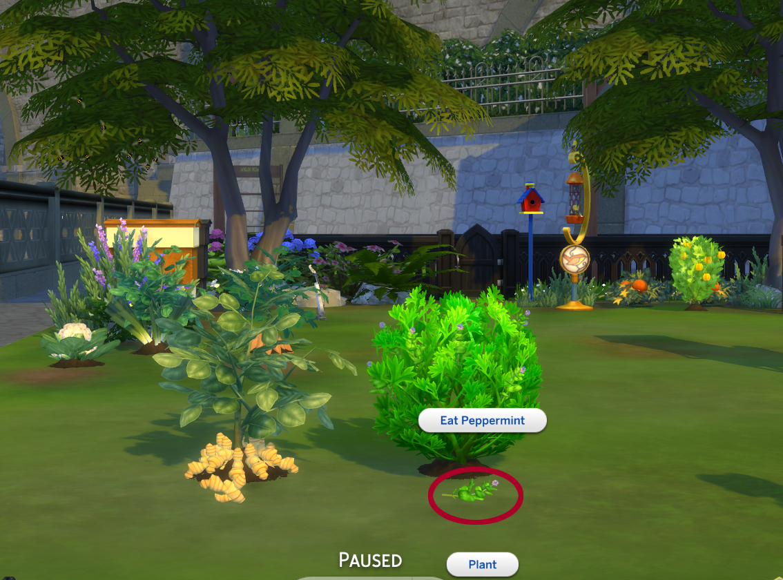 Mod The Sims - Harvestable Banana Plant (Updated 17 Nov 2015)