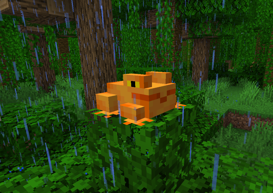 New Golden Toad