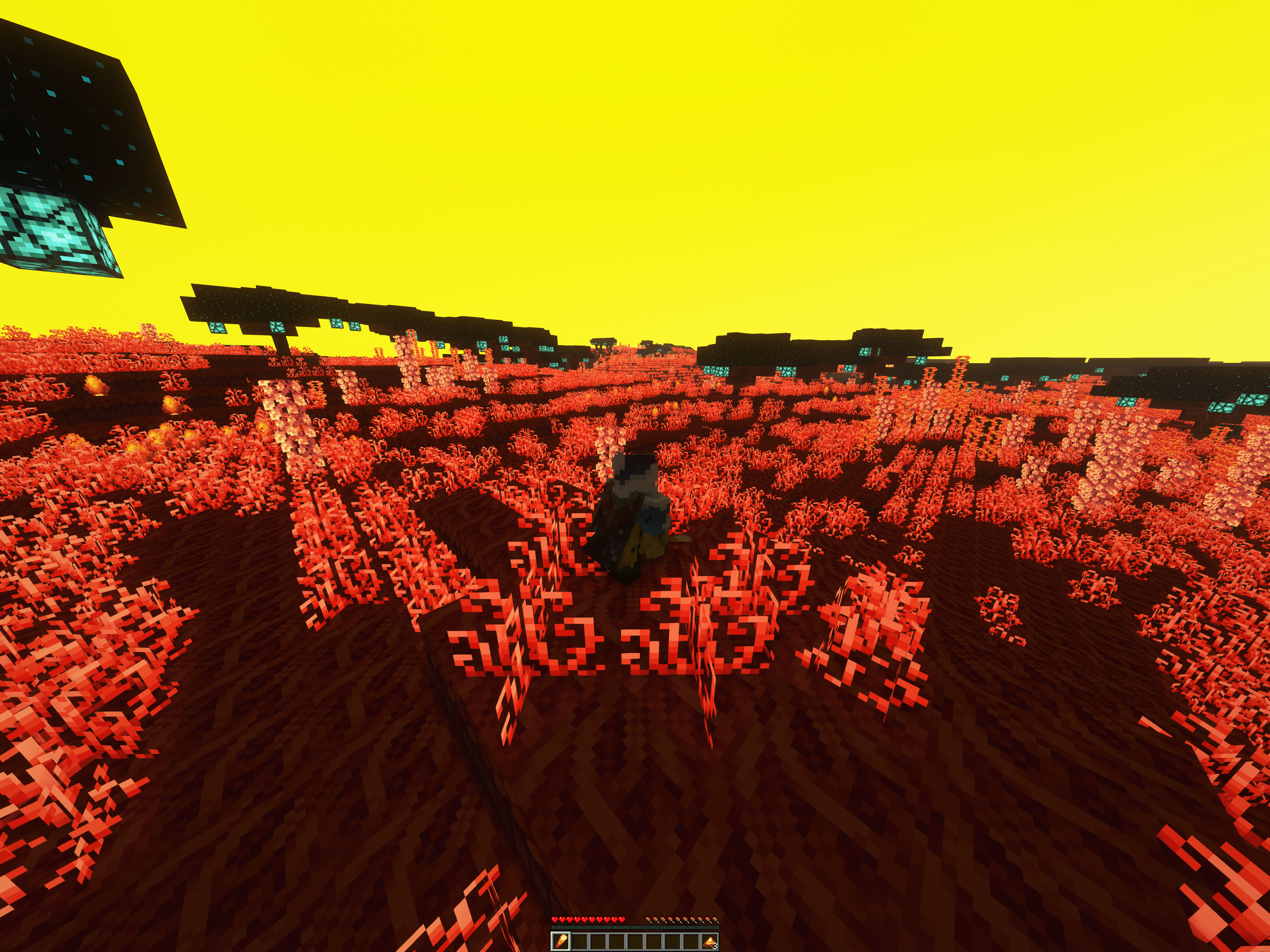 Orange Forest