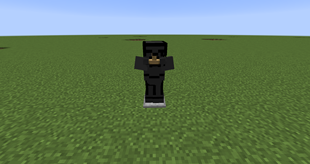 Une armure de swat