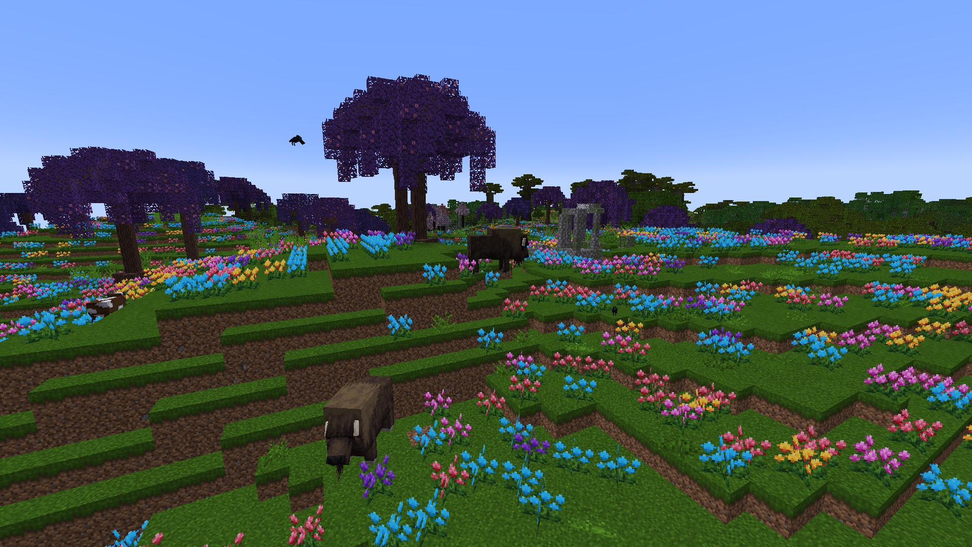 The Colours!