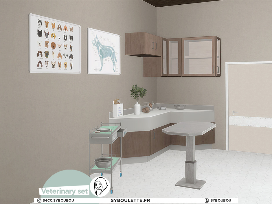 Veterinary set (2021) The Sims 4 Build / Buy