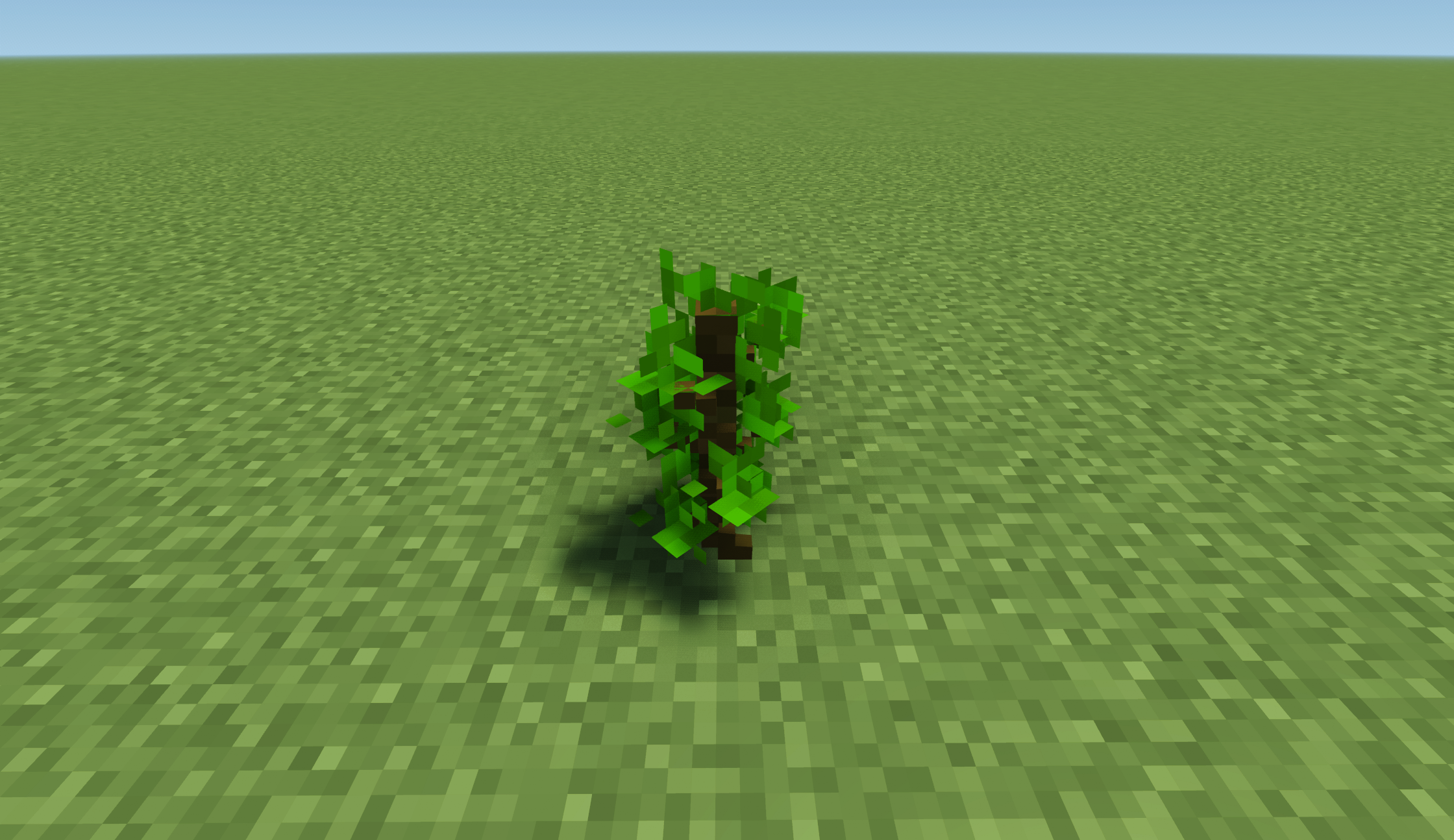 Jungle Sapling