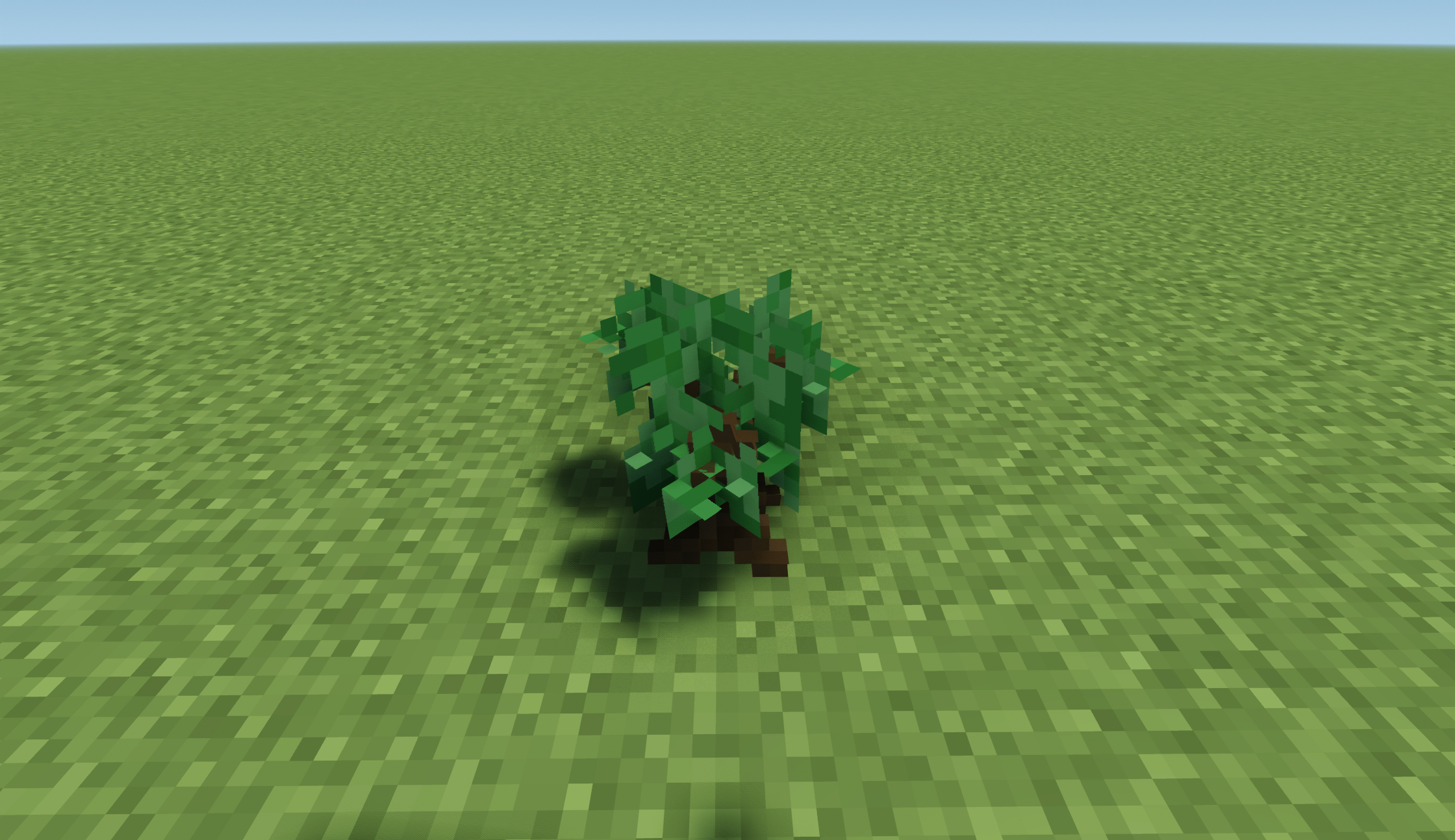 Dark Oak Sapling