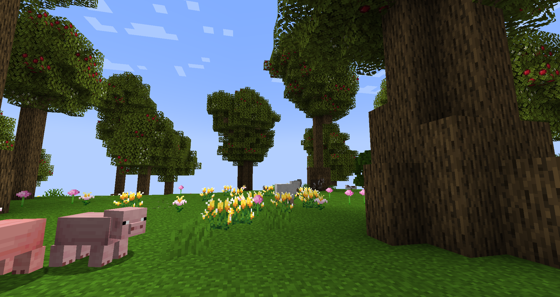 A beautiful biome full of life