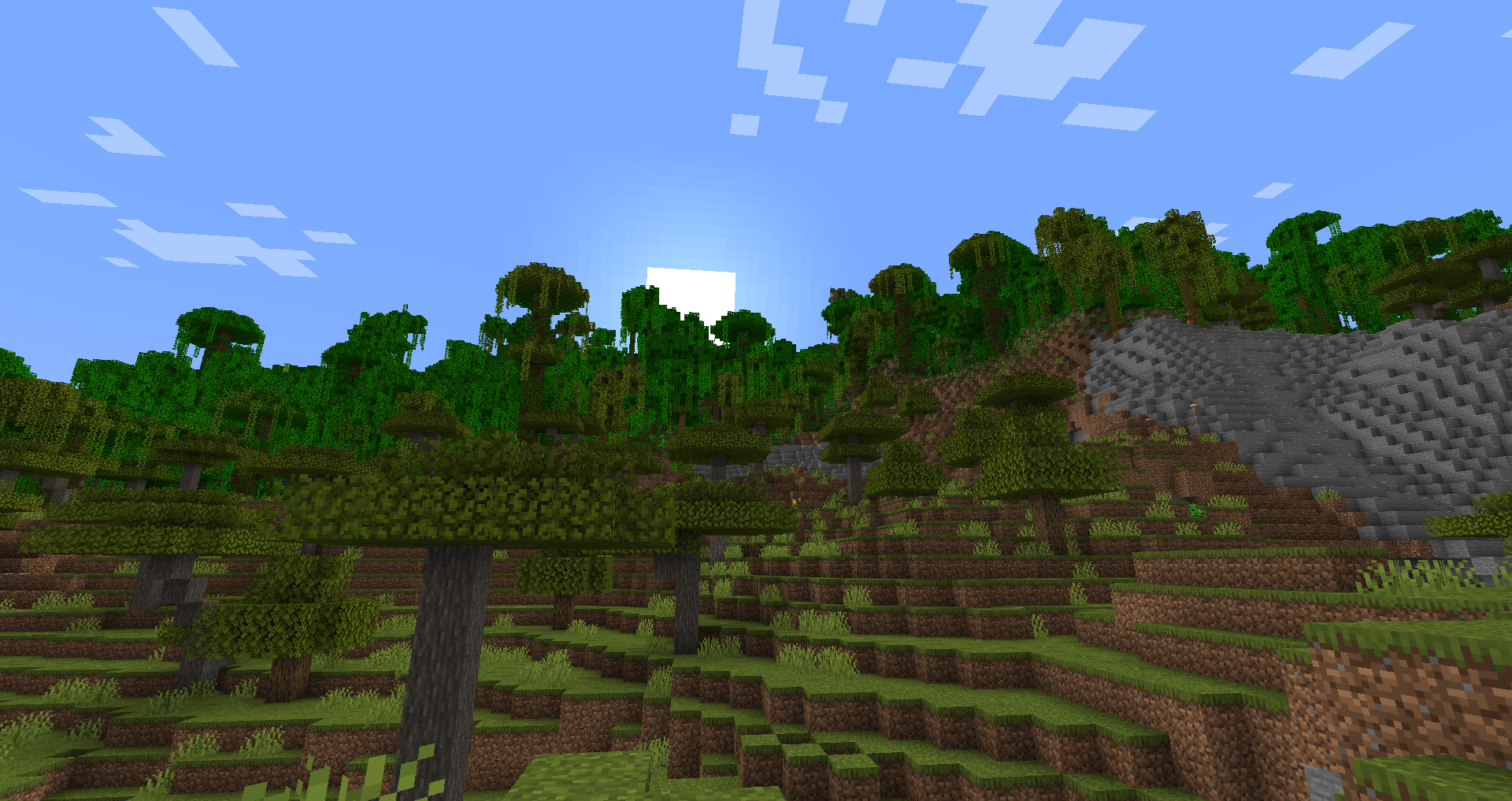 Seems to be surrounded by a jungle