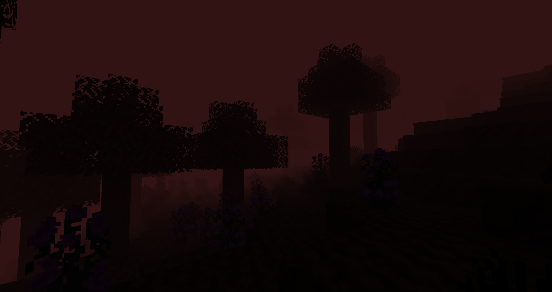 A more calm biome compared to the others...