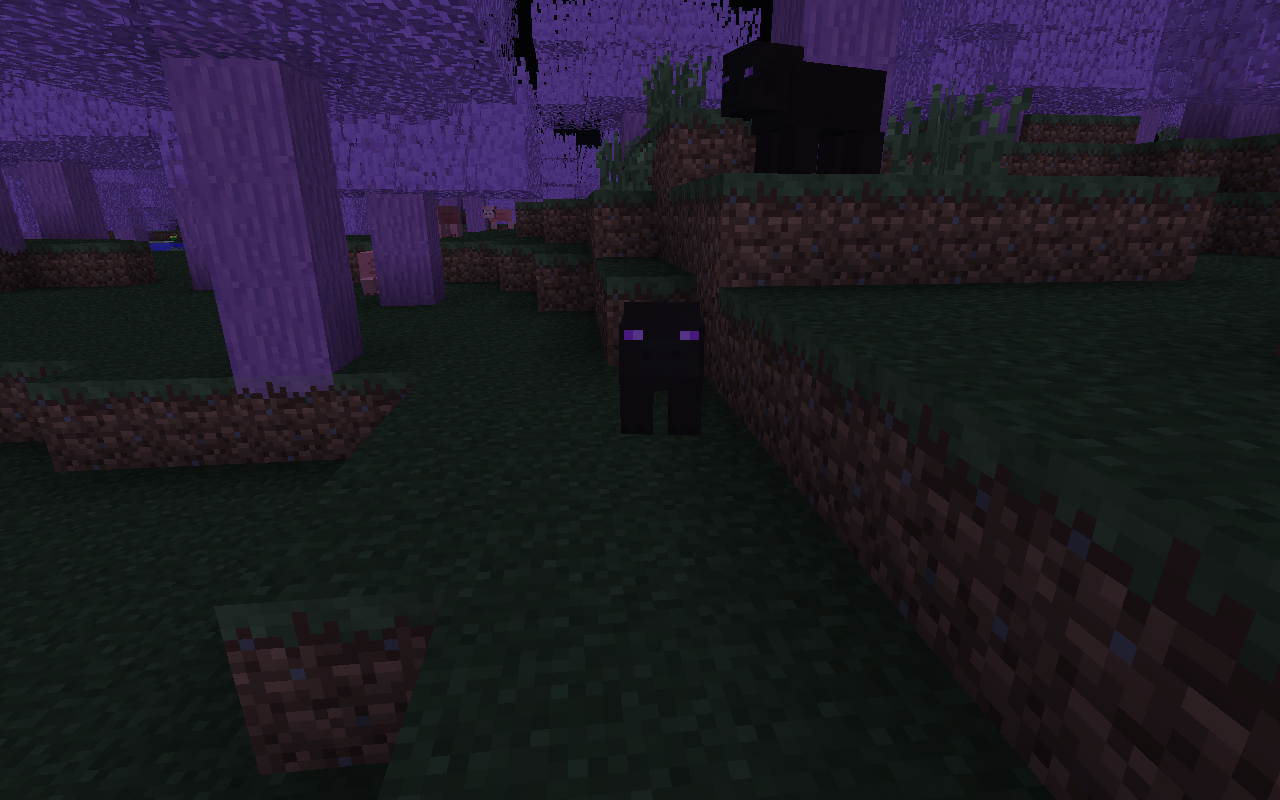 Enderpigs