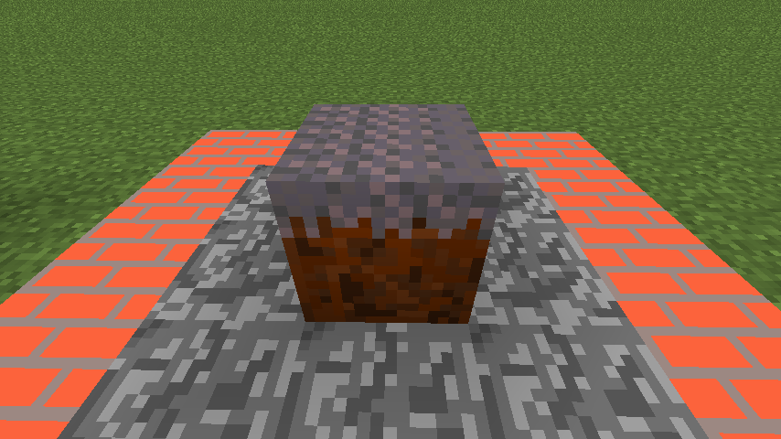 Mycelium