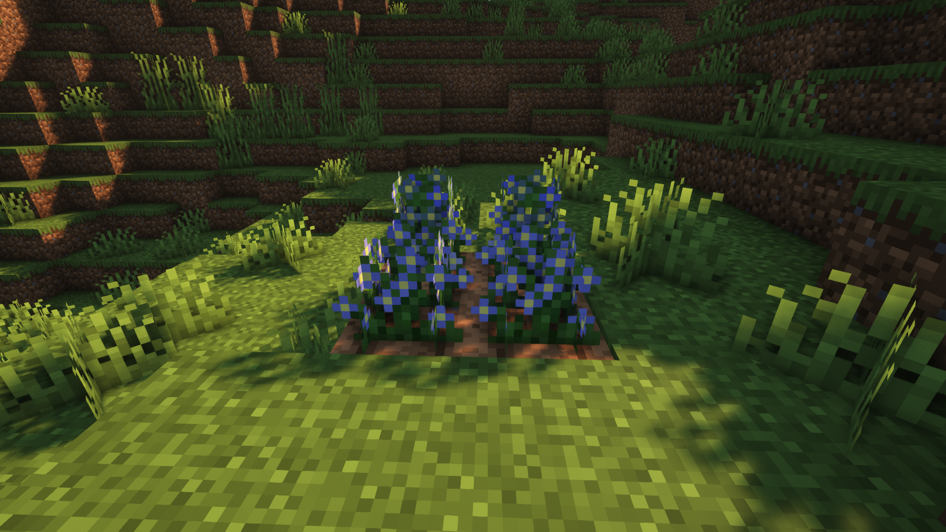 Blue Flax Crops