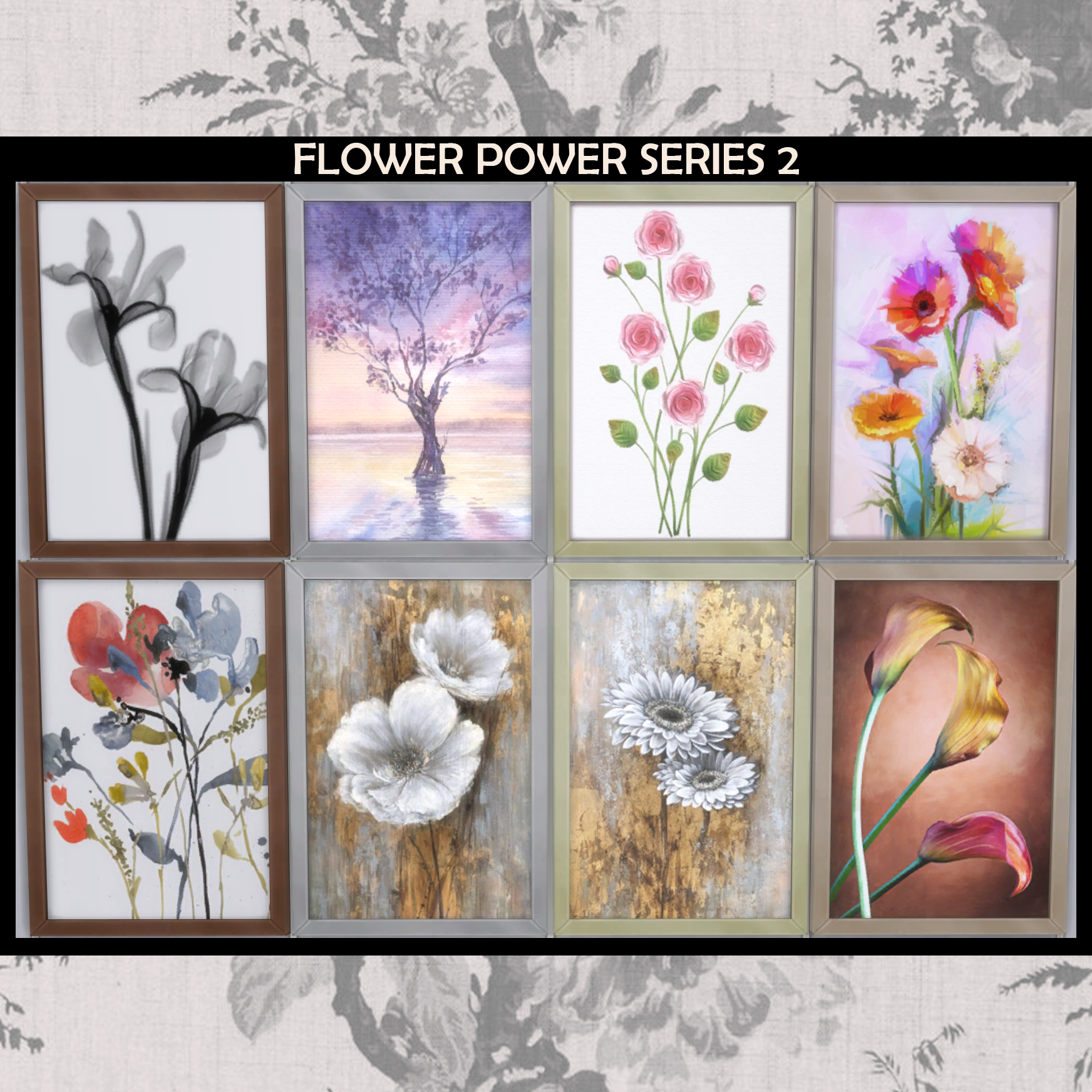 display showing images used