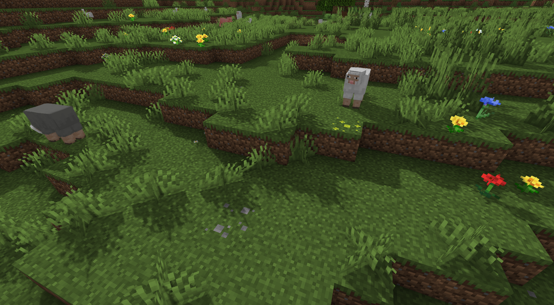 A clearing in flowers
