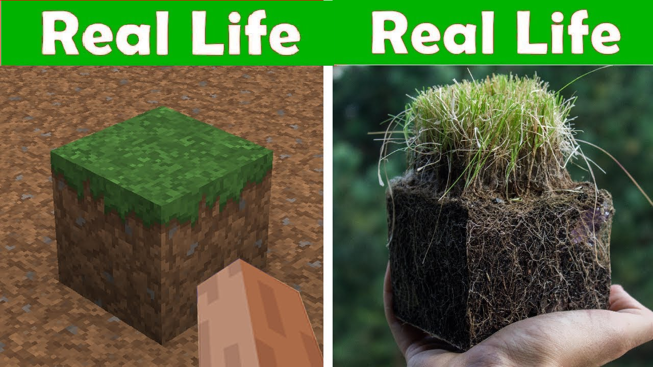 This is a truly realistic version of the "DIRT" from "MINECRAFT"