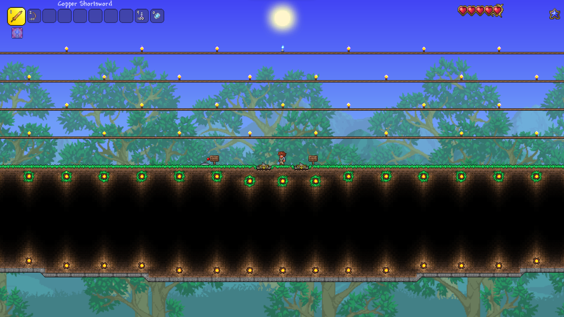 Forest