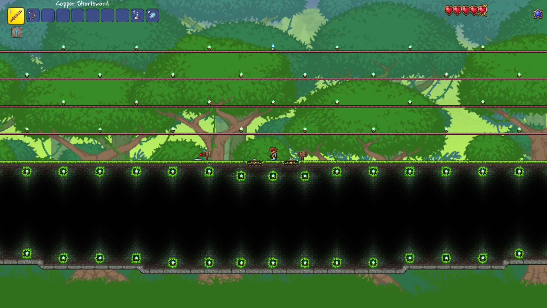 Jungle
