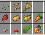 plants