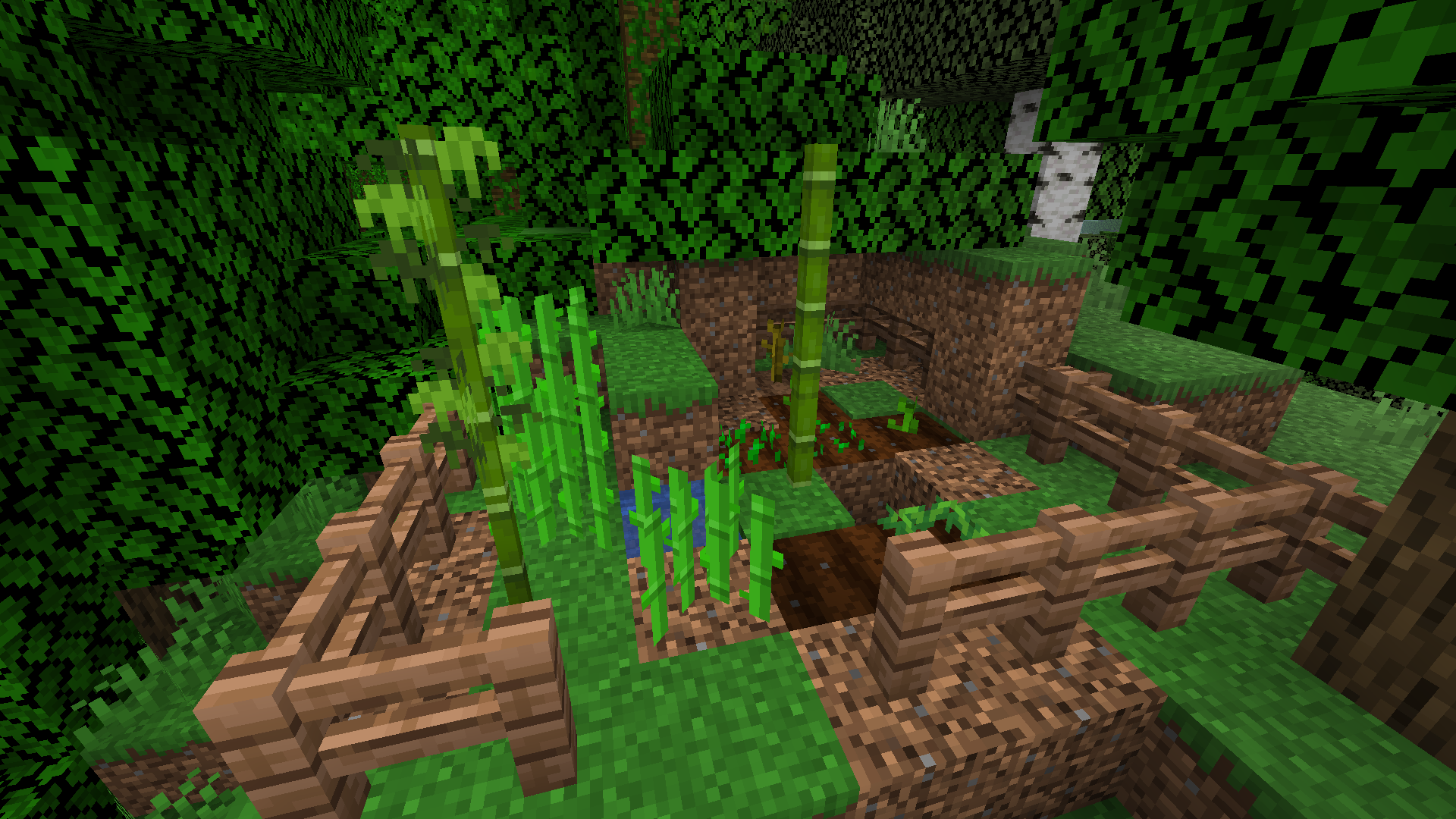 Jungle farm