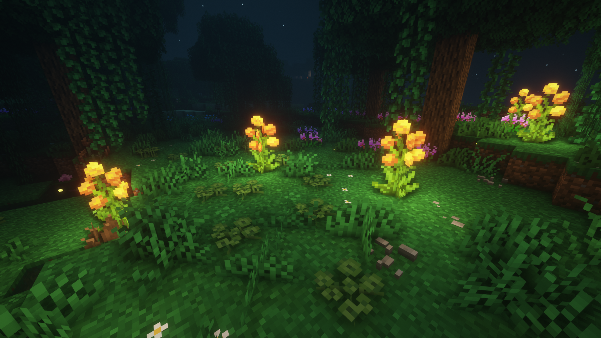 Растения биомов