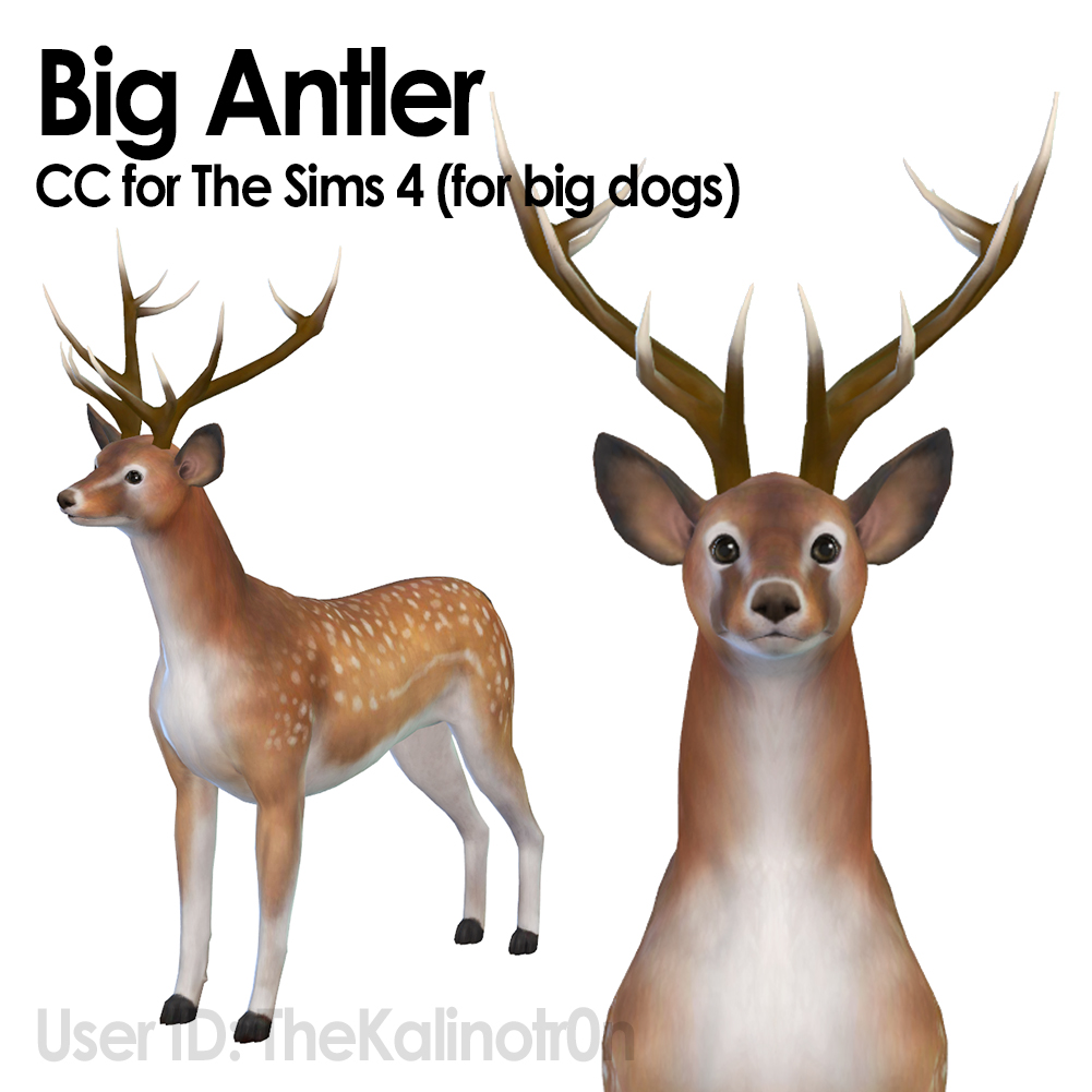 Big Antlers