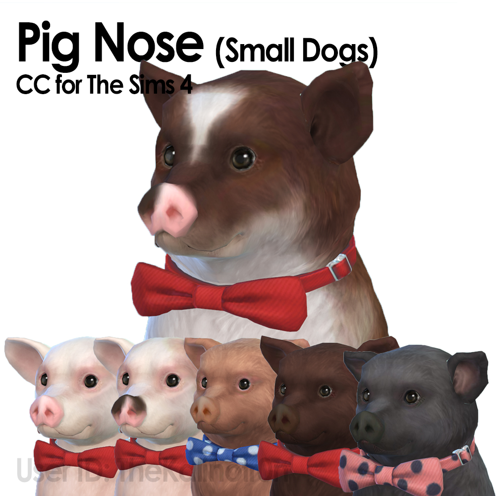 Pig Nose