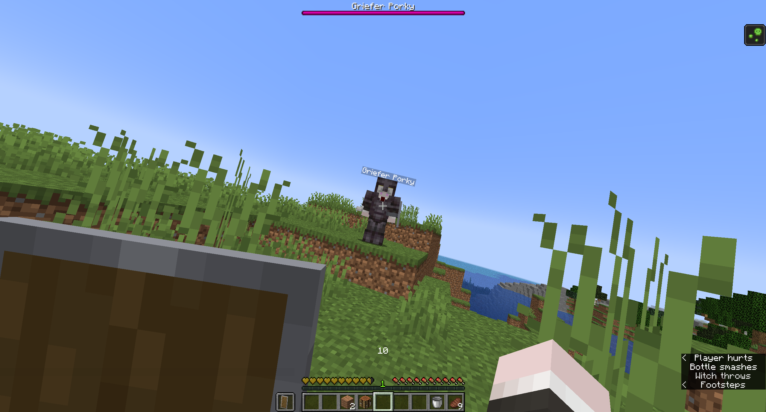 A custom entity that throws potions, ender pearls, and shoot wither skulls.