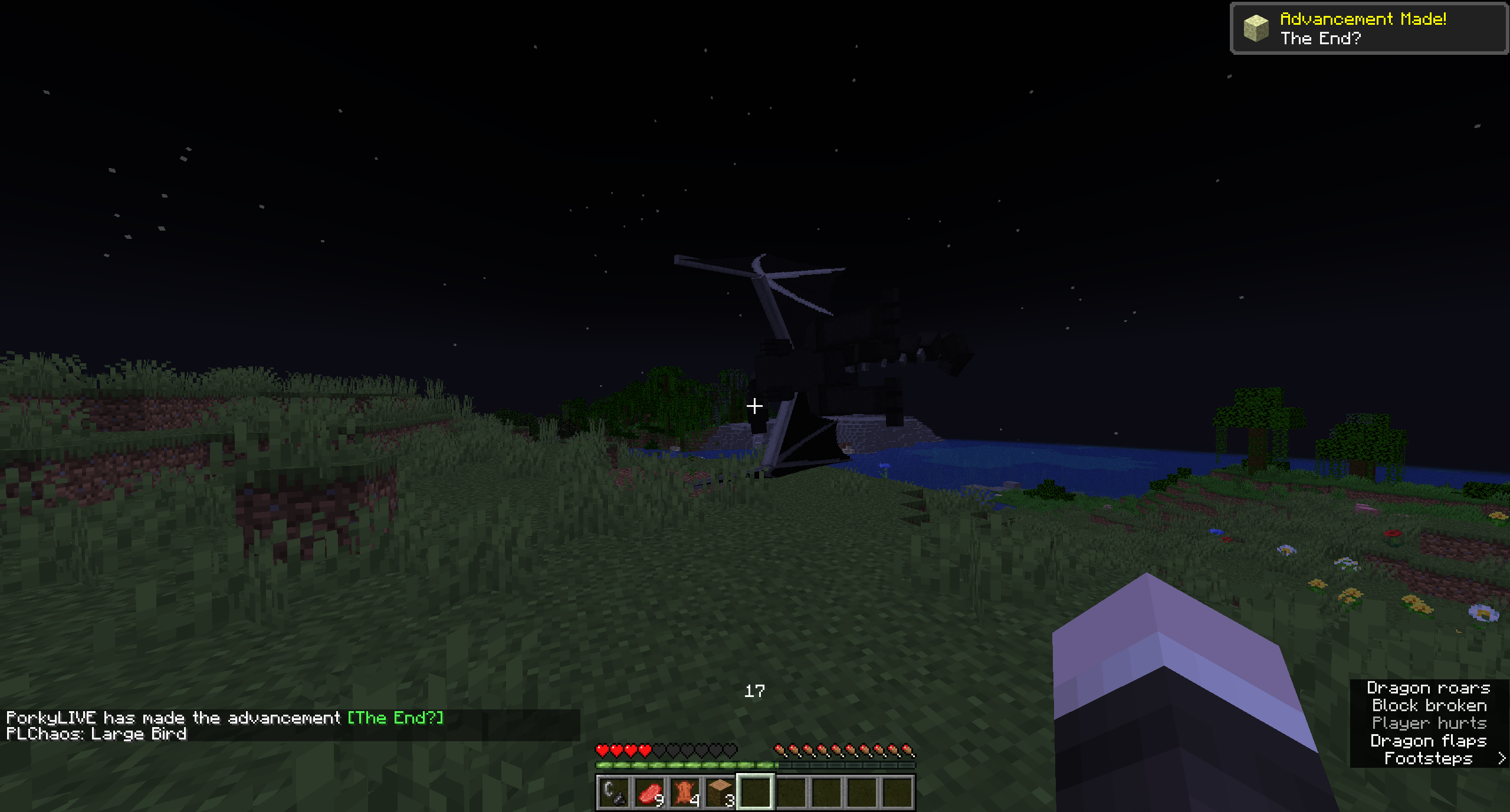 The "Large Bird" Effect can spawn Ender Dragons in the overworld and in the Nether.