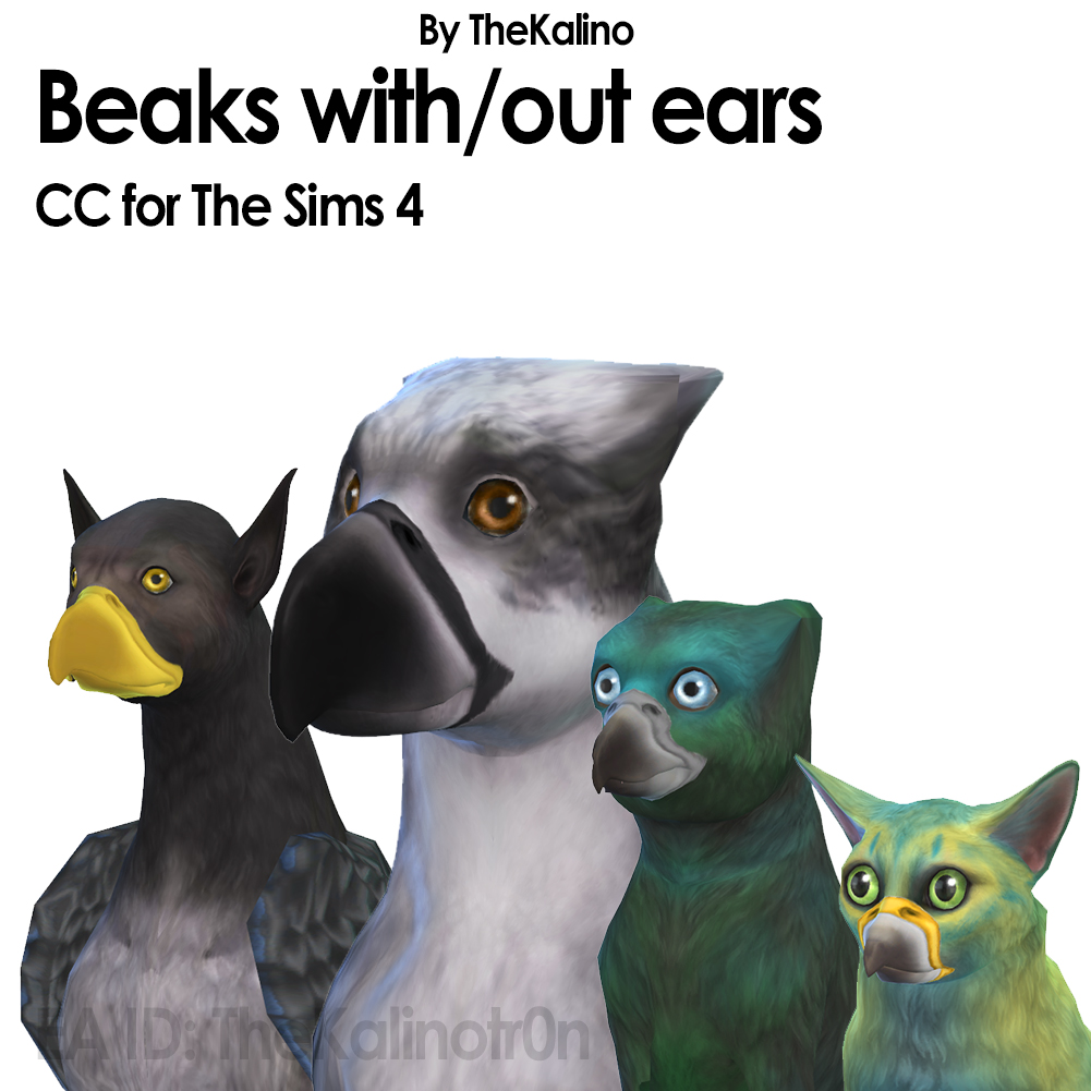 Beaks