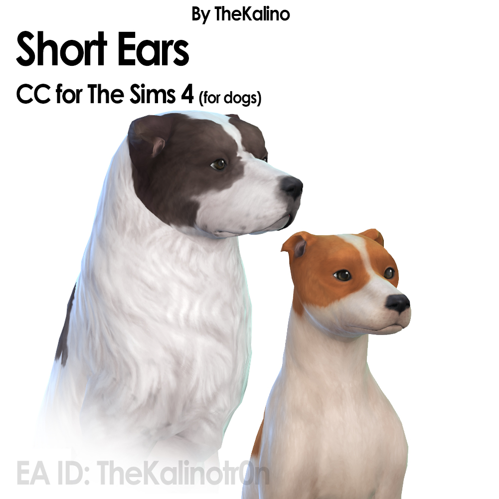Short  Ears