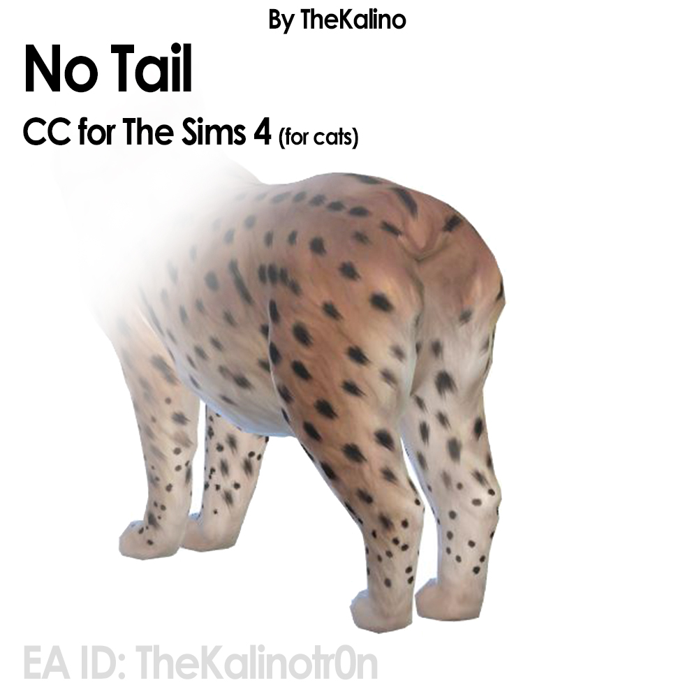 No Tail