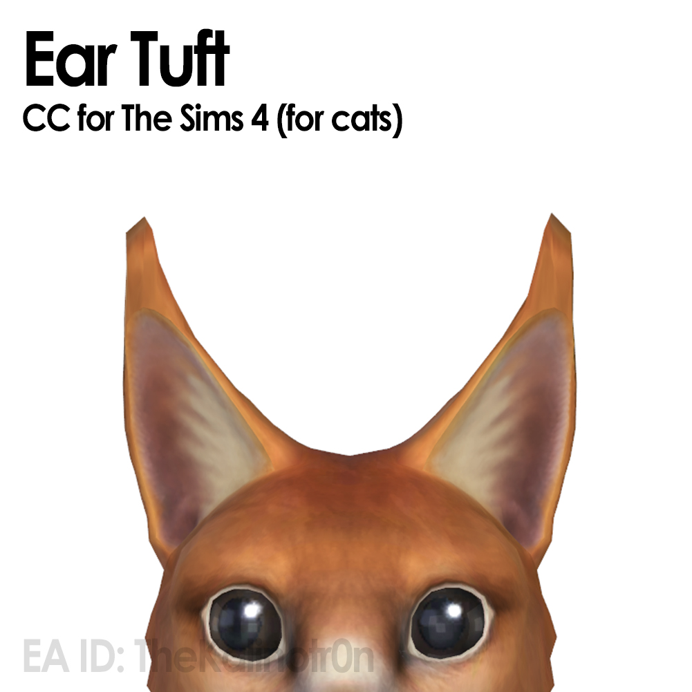 Ear Tuft