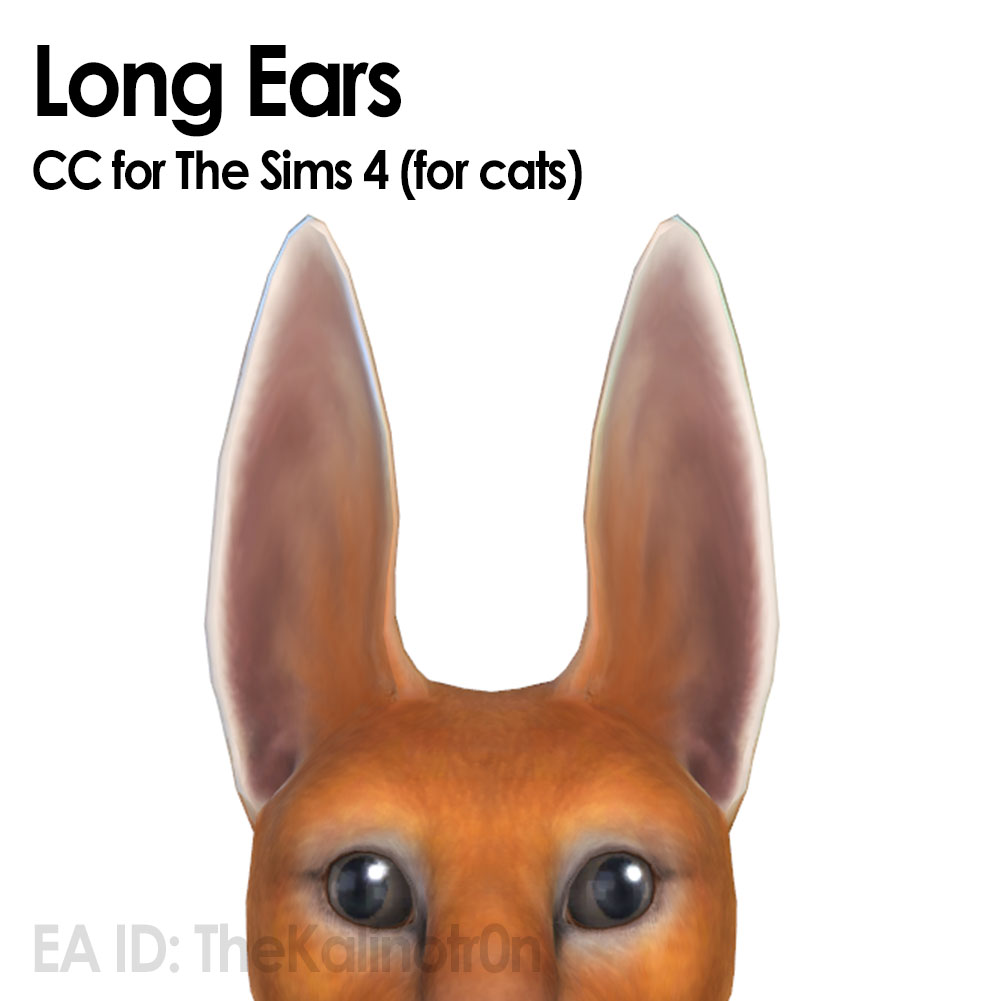 Long Ears